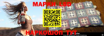 Альфа ПВП Можга