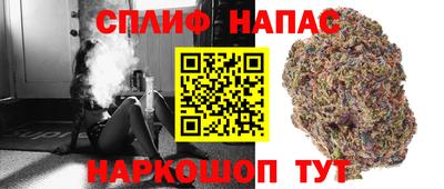 Альфа ПВП Можга