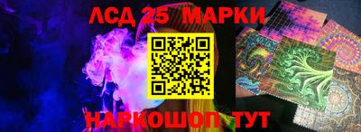 Альфа ПВП Можга