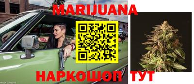Альфа ПВП Можга