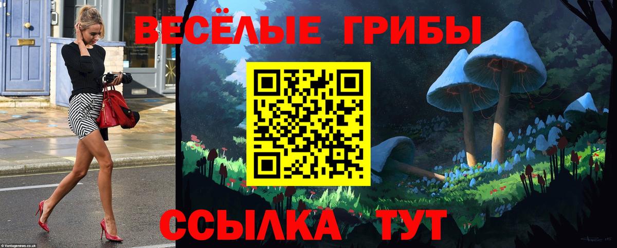 Галлюциногенные грибы MAGIC MUSHROOMS Татарск